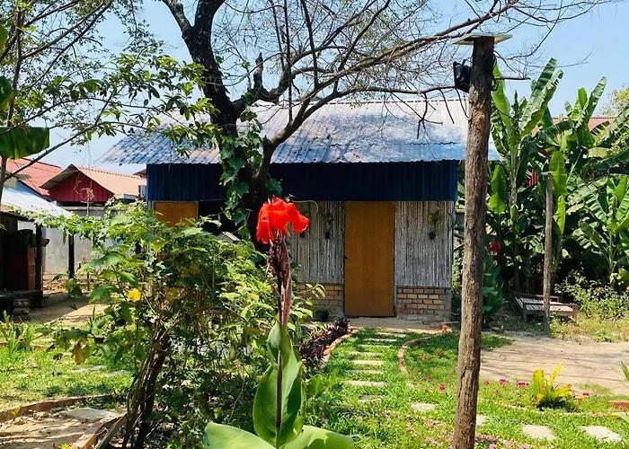 Nlco Siem Reap