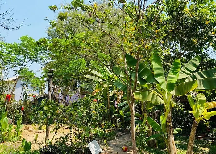 Nlco